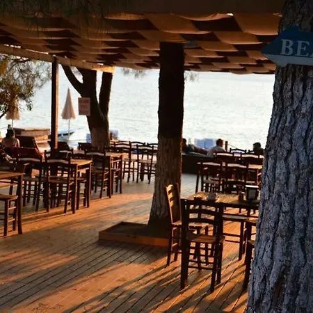 Semesteranläggning (resort) Ayanya Beach Bungalows