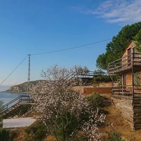 Ayanya Beach Bungalows Semesteranläggning (resort) 3*